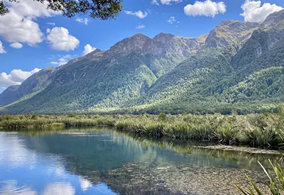 TOUR NEW ZEALAND MÙA HÈ 9N8Đ | AUCKLAND – MATAMATA – ROTORUA – WAITOMO – QUEENSTOWN – MILFORD SOUND – MT COOK – TEKAPO – CHRISTCHURCH