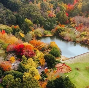 TOUR ÚC MÙA THU 7N6Đ | HÀ NỘI - SYDNEY – CANBERRA - MELBOURNE