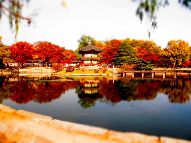 Một trong những cảnh đẹp mùa thu tại Hàn Quốc 