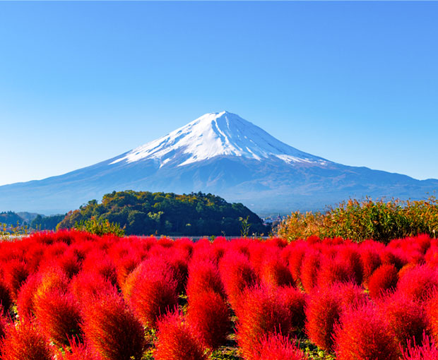 nui phu si
