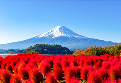 Du lịch Nhật Bản mùa Thu Nagoya - Osaka - Kyoto - Núi Phú Sĩ từ Sài Gòn giá tốt 2019