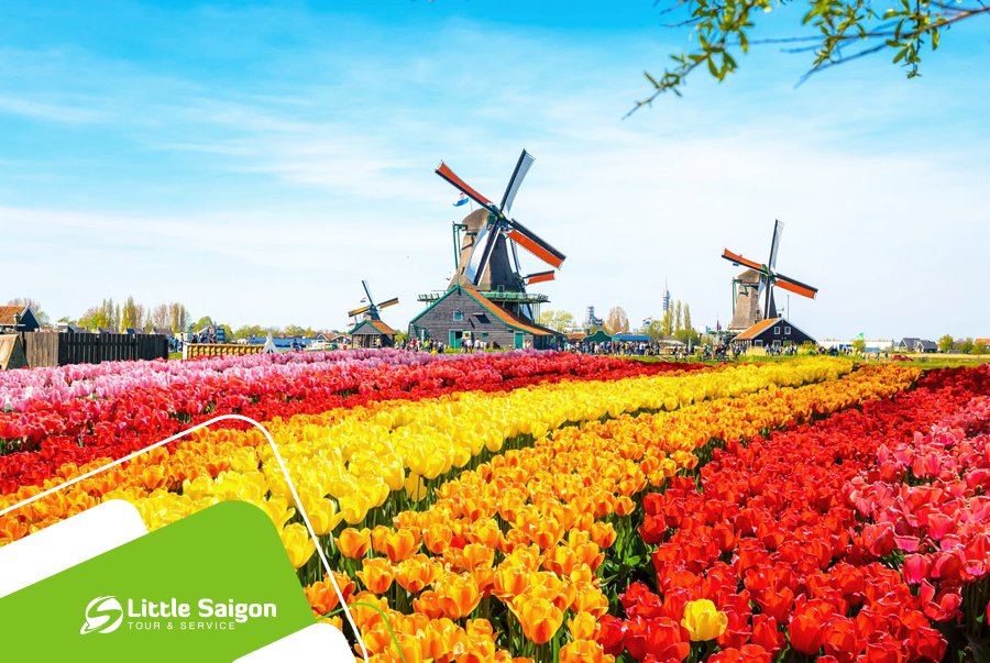 Du lịch Châu Âu - Pháp - Luxembourg - Bỉ - Hà Lan mùa Xuân từ Sài Gòn giá tốt