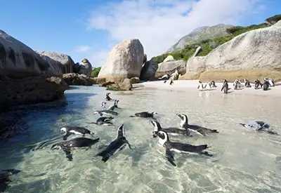 TOUR NAM PHI MÙA THU 9N7Đ | KHÁM PHÁ VÙNG ĐẤT CẦU VỒNG