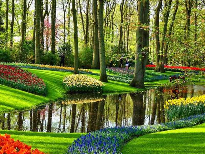 Du lịch Hà Lan nên tham quan những vườn hoa nào
