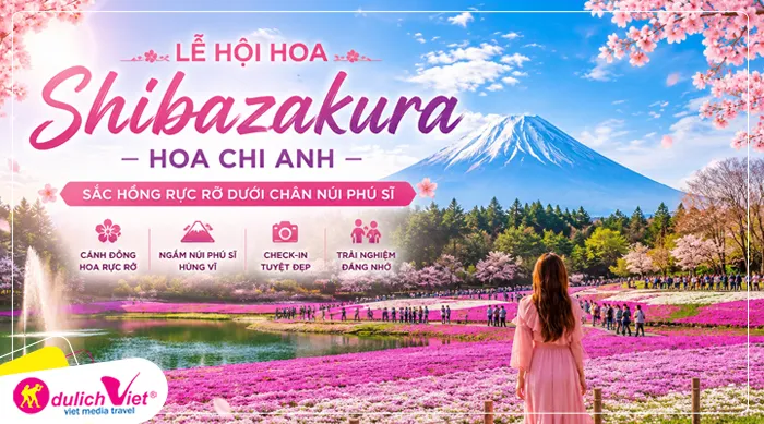 Lễ hội hoa Shibazakura –hoa chi anh