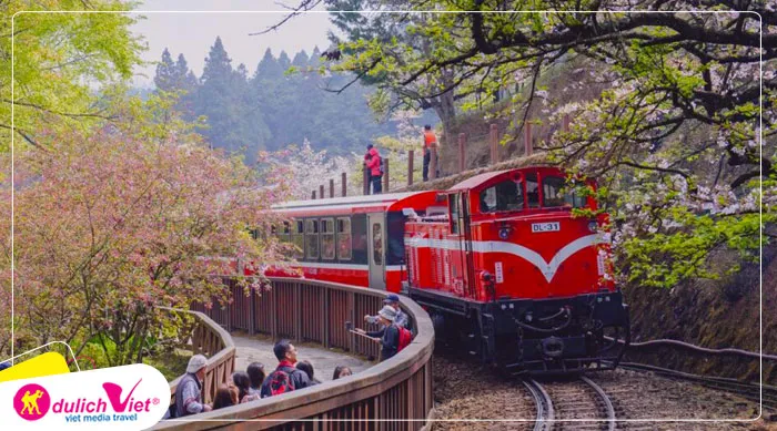 TOUR ĐÀI LOAN MÙA XUÂN 5N4Đ | CAO HÙNG - ĐÀI TRUNG - ALISHAN - ĐÀI BẮC