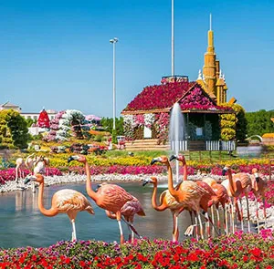 TOUR BRUNEI - DUBAI - ABU DHABI MÙA THU 6N5Đ | Sa Mạc Safari Trung Đông