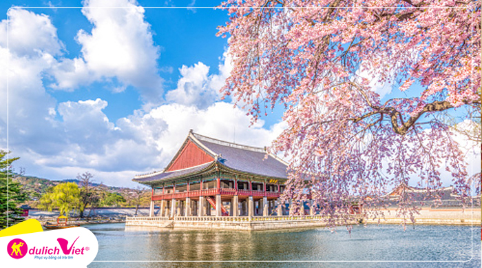 Du lịch Hàn Quốc mùa Hoa Anh Đào - Seoul - Everland - Đảo Nami 4 ngày từ Sài Gòn 2024