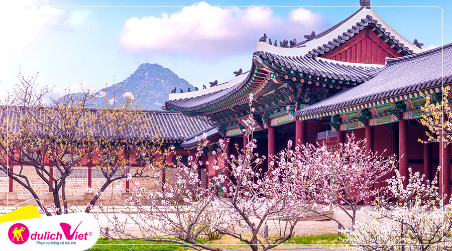 Du lịch Hàn Quốc mùa hoa Anh Đào