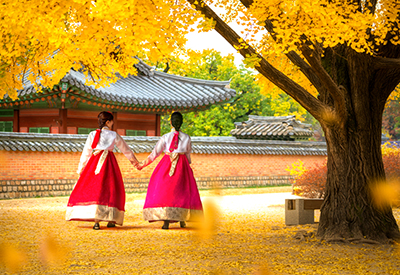 Du lịch mùa Thu Tour Hàn Quốc - Busan - Seoul - Đảo Nami từ Sài Gòn 2023
