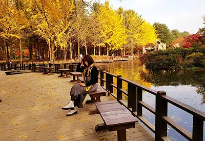 TOUR HÀN QUỐC MÙA THU | SEOUL - EVERLAND PARK - ĐẢO NAMI - THÁP NAMSAN