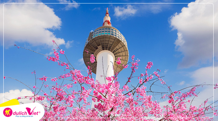 Du lịch Hàn Quốc mùa Hoa Anh Đào - Seoul - Lotte World - Hái dâu - Tháp Namsan từ Sài Gòn 2023