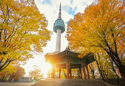 Du lịch Hàn Quốc mùa Thu - Seoul - Lotte World - Đảo Nami từ Sài Gòn 2024