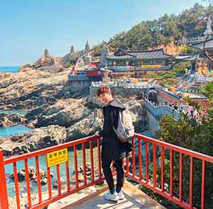 TOUR HÀN QUỐC MÙA THU 5N5Đ | BUSAN - DAEGU - SEOUL - ĐẢO NAMI