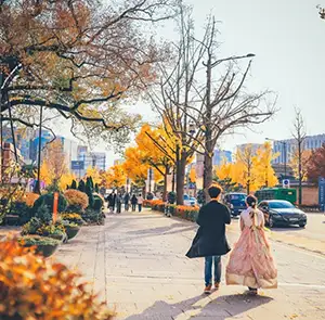 Tour Hàn Quốc Mùa Thu 6N5Đ | Seoul - Thủy cung Aquarium  - Vườn Morning Calm - Tháp Namsan (Bay Sun Phuquoc Airways)