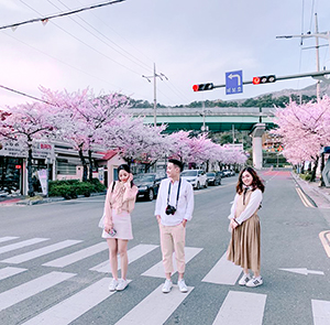 Du lịch Hàn Quốc mùa Hoa Anh Đào - Busan - Seoul - Đảo Nami từ Sài Gòn 2024