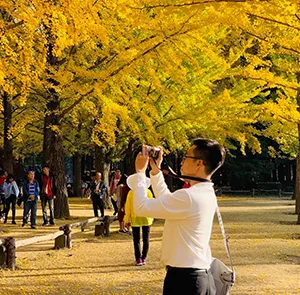 Tour Hàn Quốc Mùa Thu 4N4Đ | Seoul - Everland Park - Đảo Nami - Tháp Namsan (Bay Vietjet Air)