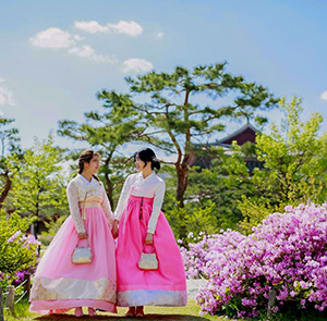 Du lịch mùa Xuân Tour Hàn Quốc Seoul - Everland - Đảo Nami - Tháp Namsan từ Sài Gòn 2023