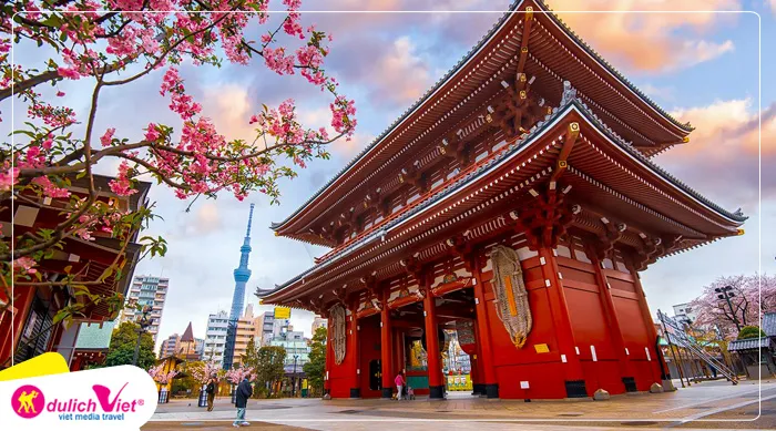 TOUR NHẬT BẢN MÙA HOA ANH ĐÀO 4N4Đ | NÚI PHÚ SỸ - TOKYO - CHIBA