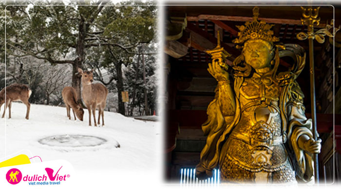 TOUR NHẬT BẢN MÙA ĐÔNG 5N5Đ | OSAKA - KYOTO - FUJI - TOKYO (No Shopping)