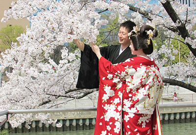 Du lịch Nhật Bản mùa hoa Anh Đào 4 ngày 3 đêm từ Sài Gòn giá tốt