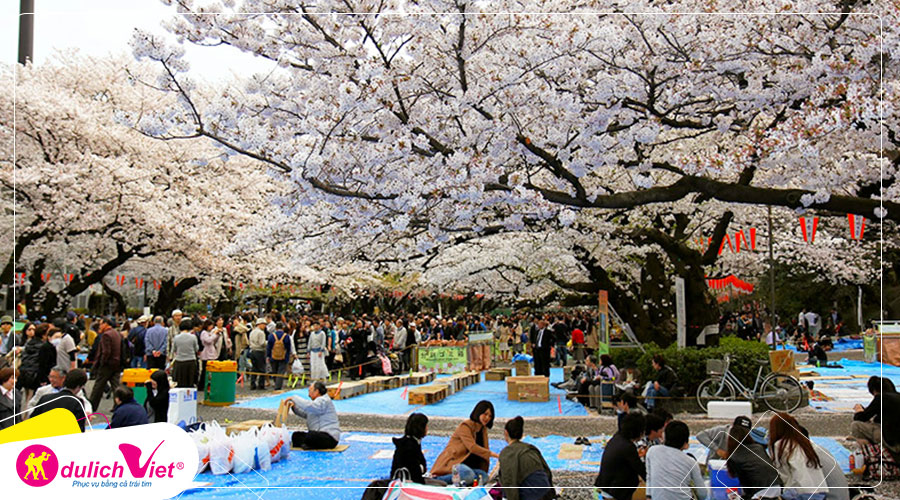 Du lịch Nhật Bản mùa hoa Anh Đào 6N5Đ khởi hành từ Hà Nội giá tốt