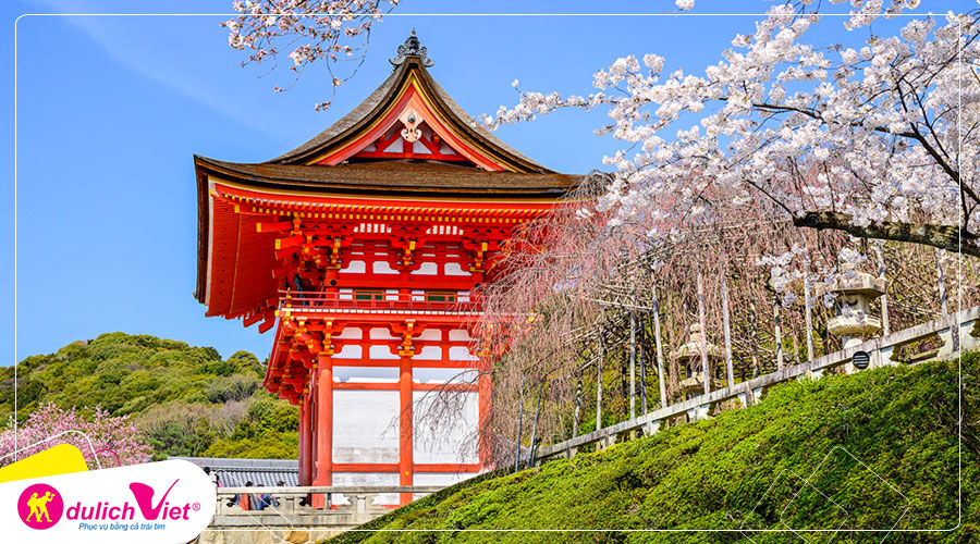 Du lịch Nhật Bản mùa hoa Anh Đào 2020 từ Sài Gòn giá tốt