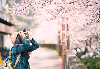 Du lịch Nhật Bản mùa hoa Anh Đào 2020 từ Sài Gòn giá tốt