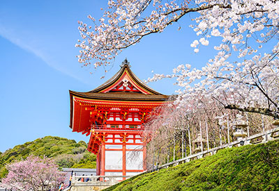 Du lịch Nhật Bản mùa hoa Anh Đào 6N5Đ từ Sài Gòn giá tốt 2020