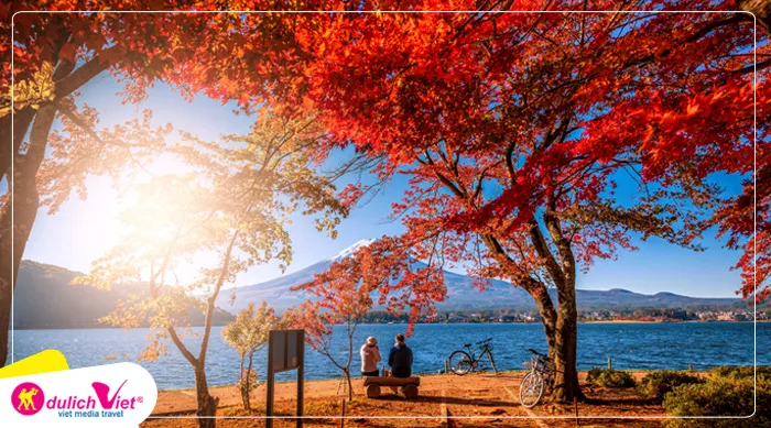 TOUR NHẬT BẢN MÙA THU 5N5Đ | OSAKA - KYOTO - YAMANASHI - FUJI - TOKYO