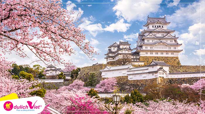 Du lịch Nhật Bản mùa hoa Anh Đào 4 ngày 3 đêm từ Sài Gòn giá tốt 2020