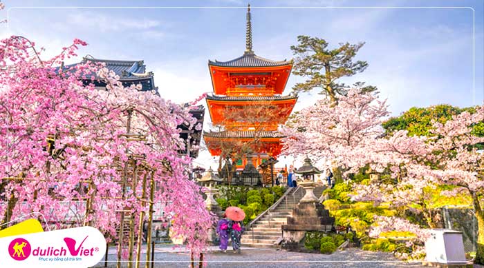 Du lịch Nhật Bản mùa hoa Anh Đào 4N4Đ từ Sài Gòn giá tốt 2020