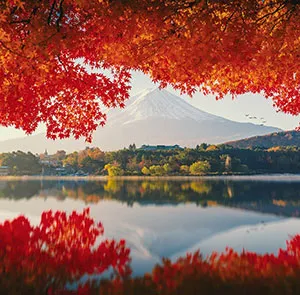 TOUR NHẬT BẢN MÙA THU 5N5Đ | OSAKA - KYOTO - YAMANASHI - FUJI - TOKYO