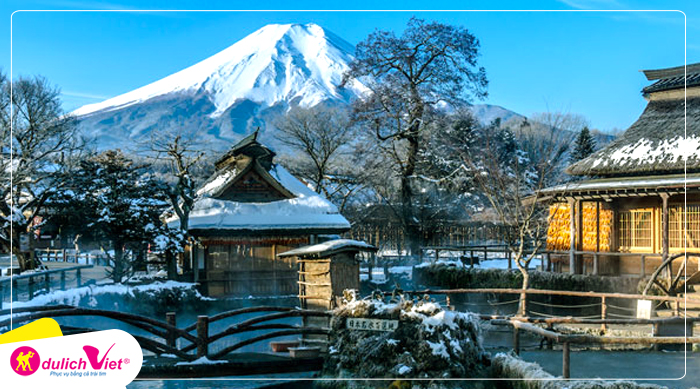Du lịch Nhật Bản mùa Đông - Tokyo - Hakone - Fuji - Odaiba từ Sài Gòn 2024