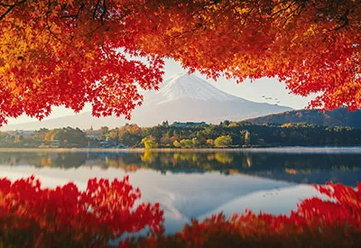 TOUR NHẬT BẢN MÙA THU 5N5Đ | OSAKA - KYOTO - YAMANASHI - FUJI - TOKYO