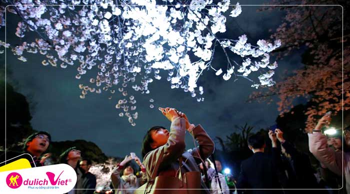 Du lịch Nhật Bản mùa hoa Anh Đào 4 ngày 3 đêm từ Sài Gòn giá tốt 2020