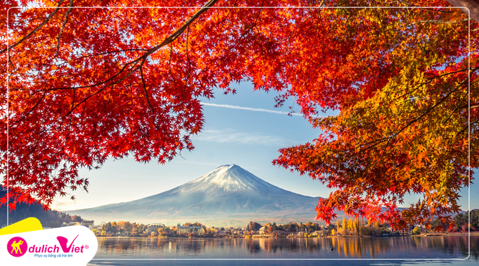 Du lịch Nhật Bản mùa Thu - Tokyo - Hakone - Fuji - Odaiba từ Sài Gòn 2023