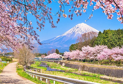 Tour Nhật Bản mùa Hoa Anh Đào - Osaka - Kobe - Nagoya - Fuji - Tokyo từ Sài Gòn 2023