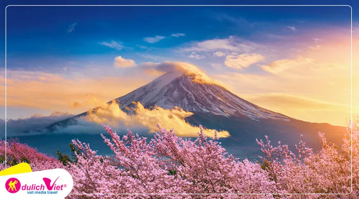 TOUR NHẬT BẢN MÙA HOA ANH ĐÀO 5N5Đ | OSAKA - KYOTO - YAMANASHI - FUJI - TOKYO (Tour No Shopping)