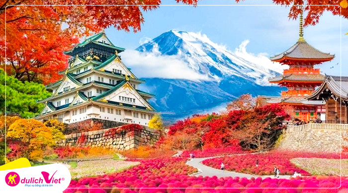 Du lịch Nhật Bản mùa Thu - Osaka - Kyoto - Yamanashi - Fuji - Tokyo từ Sài Gòn 2024