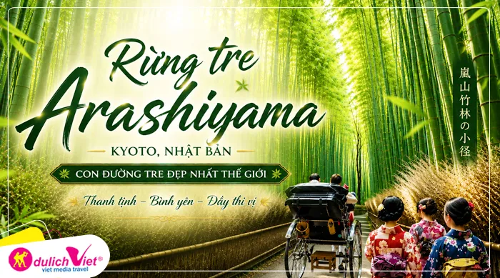 Rừng tre Arashiyama - tản bộ giữa rừng trúc xanh mướt