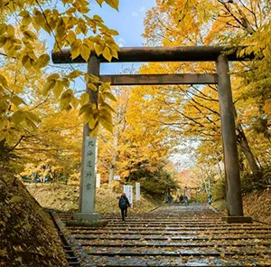 Tour Nhật Bản Mùa Thu 6N6Đ | Asahikawa - Sapporo - Noboribetsu (Bay Japan Airlines)