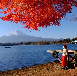 Tour Nhật Bản Mùa Thu 5N5Đ | Osaka - Kyoto - Làng Cổ Shirakawago - Fuji - Tokyo