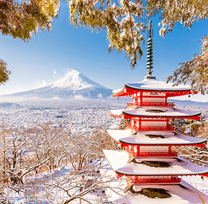 Du lịch Nhật Bản mùa Đông Tokyo - Hakone - Fuji - Trượt tuyết từ Sài Gòn 2024