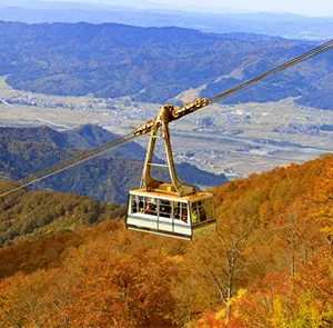 Tour Nhật Bản Mùa Thu 6N6Đ | Asahikawa - Furano - Sapporo - Noboribetsu (Bay Japan Airlines)