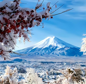 TOUR NHẬT BẢN MÙA ĐÔNG 5N5Đ | OSAKA - KOBE - KYOTO - YAMANASHI - FUJI - TOKYO BAY VIETNAM AIRLINES