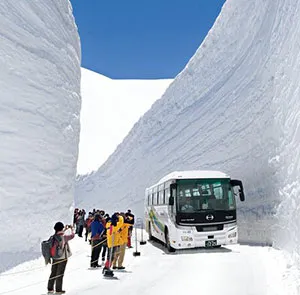 TOUR NHẬT BẢN MÙA HÈ 5N5Đ | CUNG ĐƯỜNG TUYẾT TATEYAMA - PHÚ SĨ - TOKYO