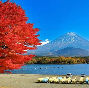 Tour Nhật Bản mùa Thu 5N4Đ | Osaka - Kyoto - Phú Sĩ - Tokyo (Bay Vietnam Airlines)