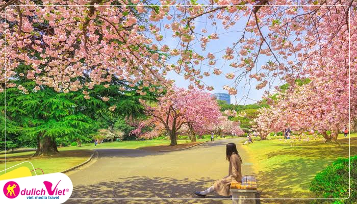 Vườn quốc gia Shinjuku Gyoen