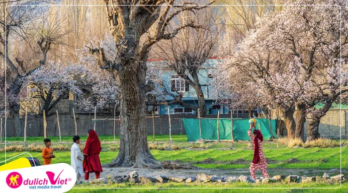 TOUR PAKISTAN MÙA HOA ANH ĐÀO 10N9Đ | ISLAMABAD - SKARDU - HUNZA - KARIMABAD